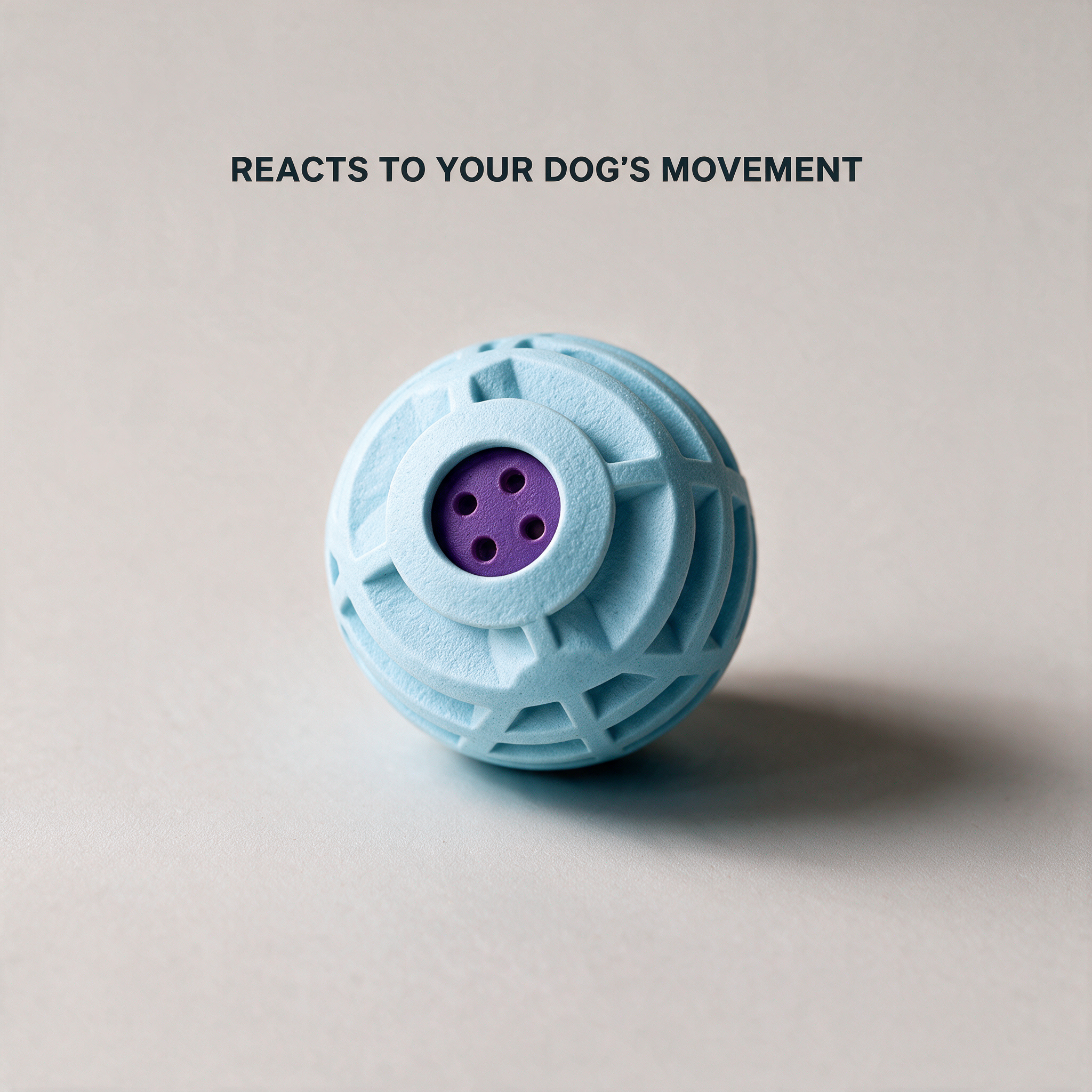 Slot 5 benefit - Reacts to your dog's movement
